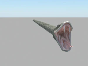 Snake 3D Model