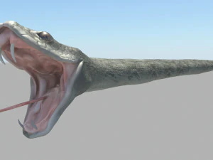 Snake 3D Model