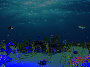 Seabed 3D Model