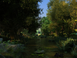 Rainforest 3D Model