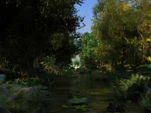 Las deszczowy Model 3D