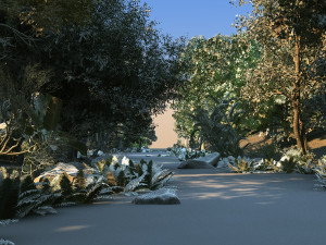 Rainforest 3D Model
