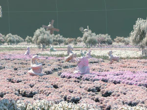 Garden 3D Model