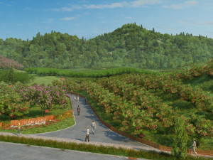 Orchard 3D Model