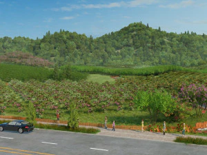 Orchard 3D Model
