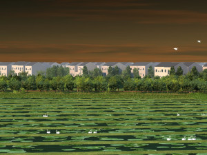 Rural Modelo 3D