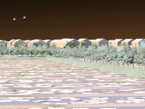 Rural 3D Model
