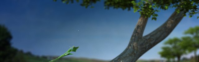 Plant growth 3D मॉडल .c4d .max .obj .3ds .fbx .stl .blend 