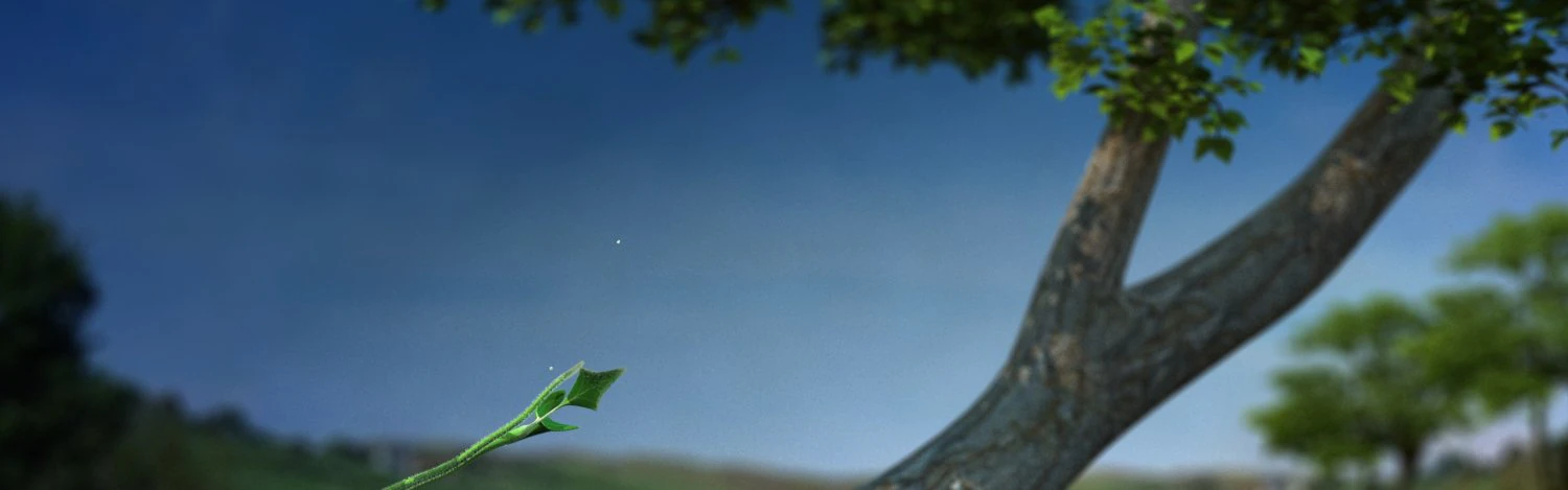 Plant growth 3D Model .c4d .max .obj .3ds .fbx .stl .blend 