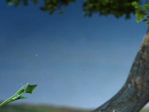 Plant growth Modèle 3D