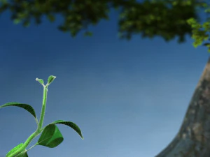 Plant growth 3D Model