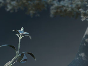 Plant growth 3D Model