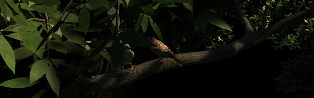 Two sparrows 3D Model .c4d .max .obj .3ds .fbx .stl .blend 