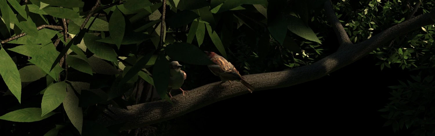 Two sparrows 3D Model .c4d .max .obj .3ds .fbx .stl .blend 