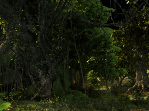 Woods 3Dモデル
