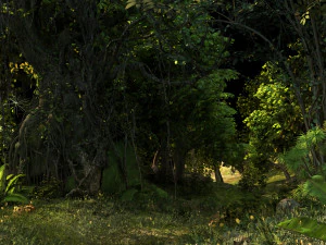 Woods 3D Model