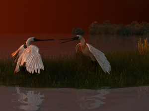 Wetlands 3D Модель