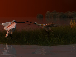 Wetlands 3D 모델