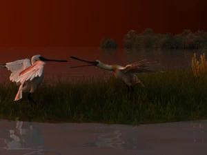 Wetlands 3D Model