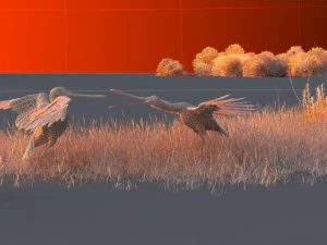 Wetlands 3D Model