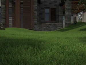 Germination 3D Model
