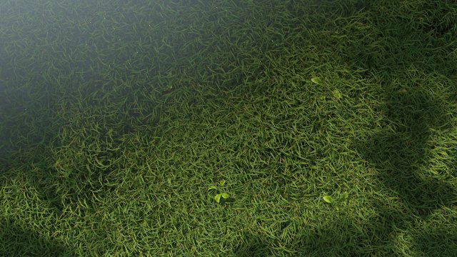 Germination Modello 3D .c4d .max .obj .3ds .fbx .stl .blend 