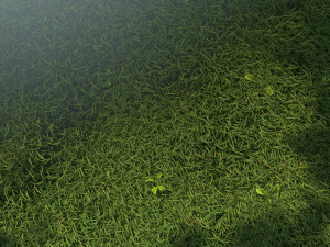 Germination Modelo 3D