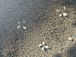 Germination Modello 3D