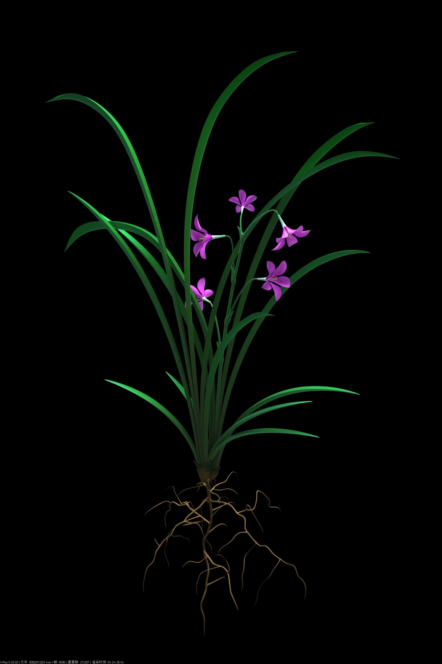 Orchid 3D Model .c4d .max .obj .3ds .fbx .stl .blend