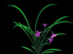 Orchid 3D मॉडल