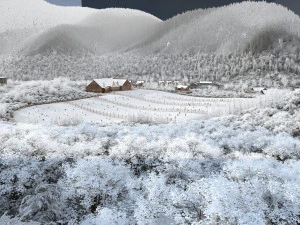 Snow in the mountains 3D Model