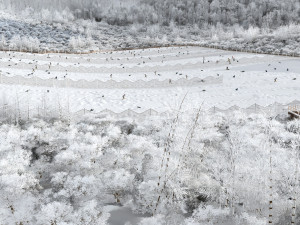 Snow in the mountains 3D Model