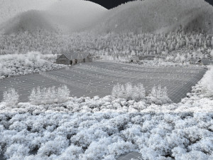 Snow in the mountains 3D Model