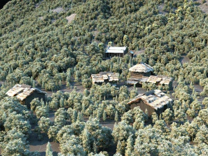 Village 3D Model
