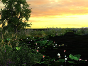 Wild 3D Model