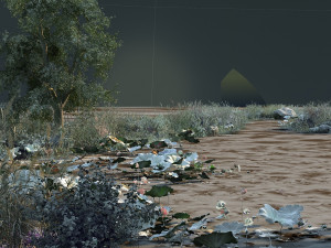 Wild 3D Model