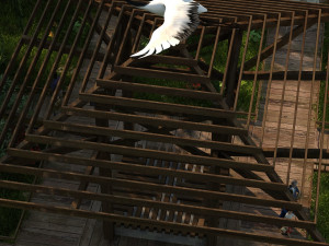 Park 3Dモデル