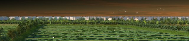 Field Model 3D .c4d .max .obj .3ds .fbx .stl .blend 