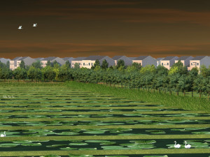 Field Model 3D