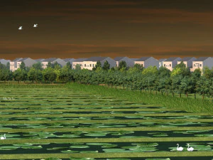 Field 3D Model