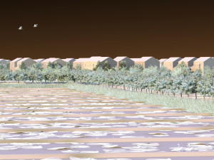 Field Model 3D