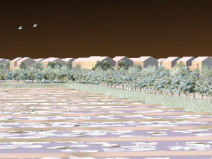Field 3D Model