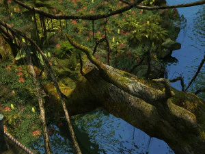 Zoo 3D Model