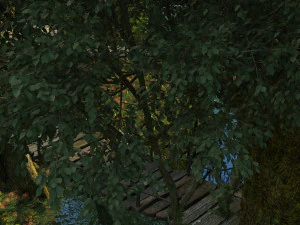 Zoo 3D Model