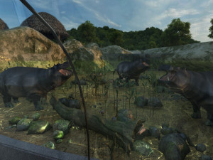 Zoo 3D Model