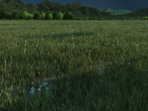 Zoo 3Dモデル