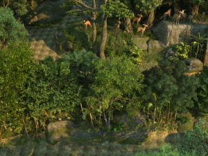 Zoo 3D Model