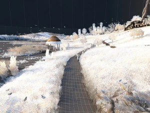 Zoo 3D Model