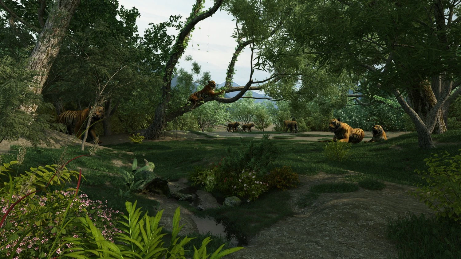 Zoo 3D Model .c4d .max .obj .3ds .fbx .stl .blend 