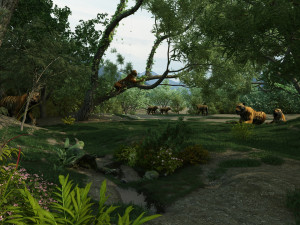 Zoo 3D Model